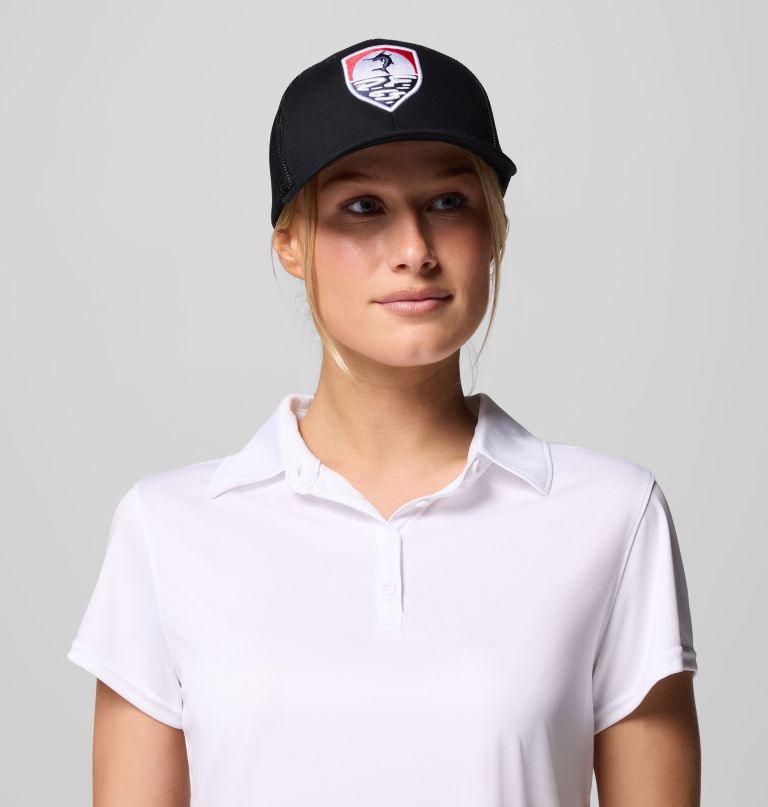 pfg silver bank baseballpet