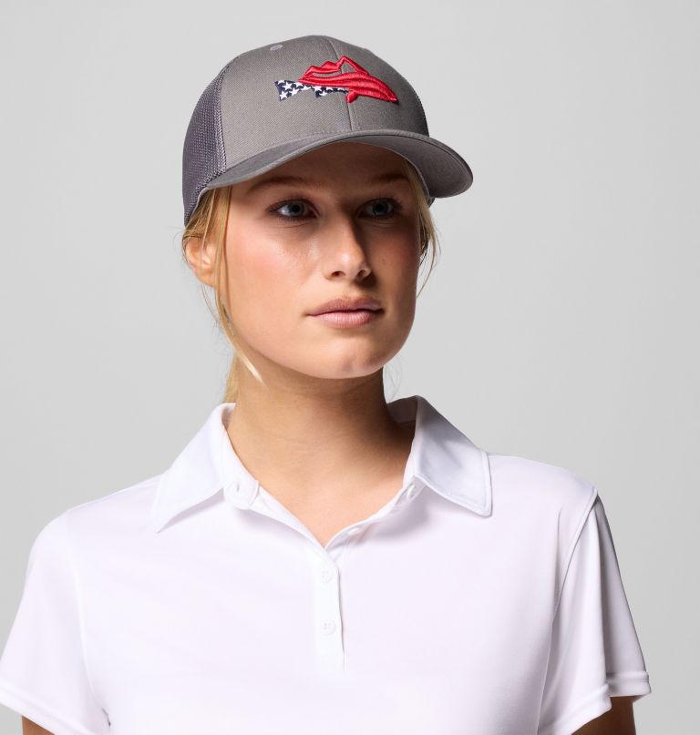 pfg silver bank baseballpet