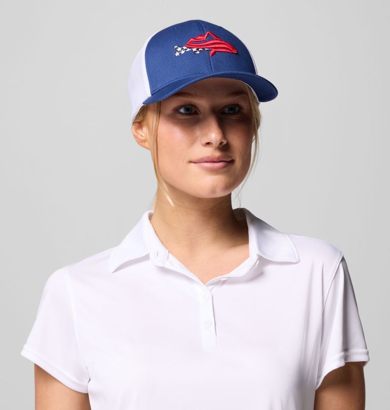 pfg silver bank baseballpet