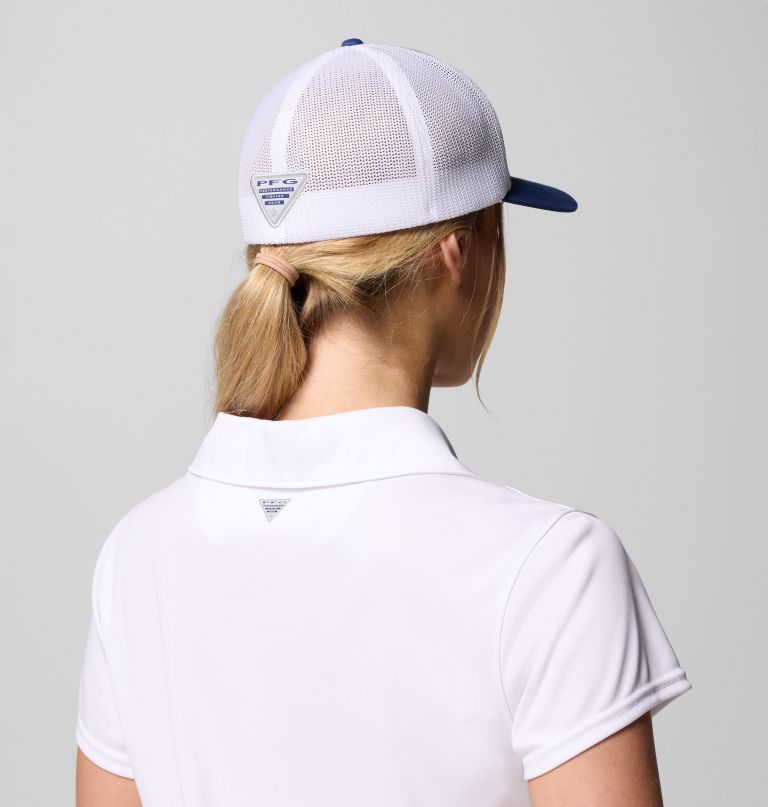 pfg silver bank baseballpet