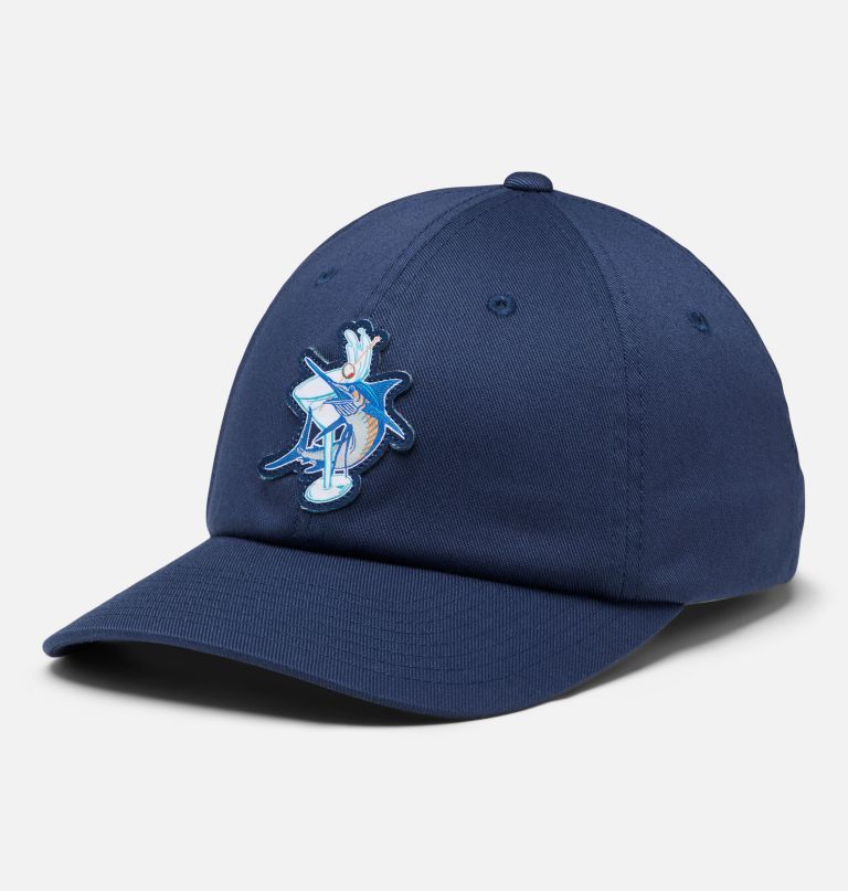 pfg bonehead dad cap