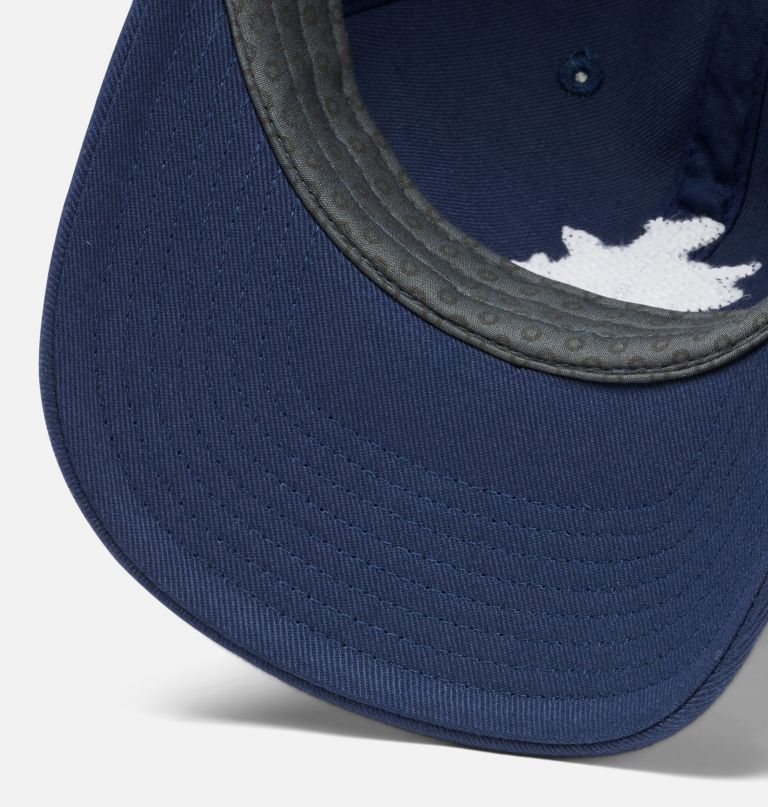 pfg bonehead dad cap