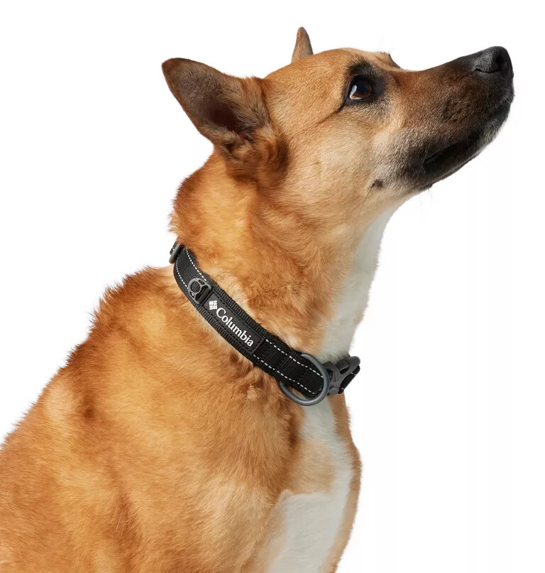 silver ridge hondenhalsband