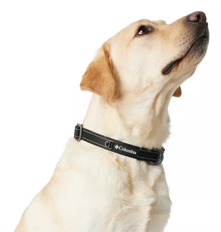 silver ridge hondenhalsband