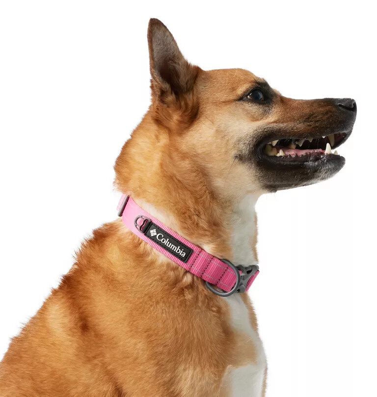 silver ridge hondenhalsband