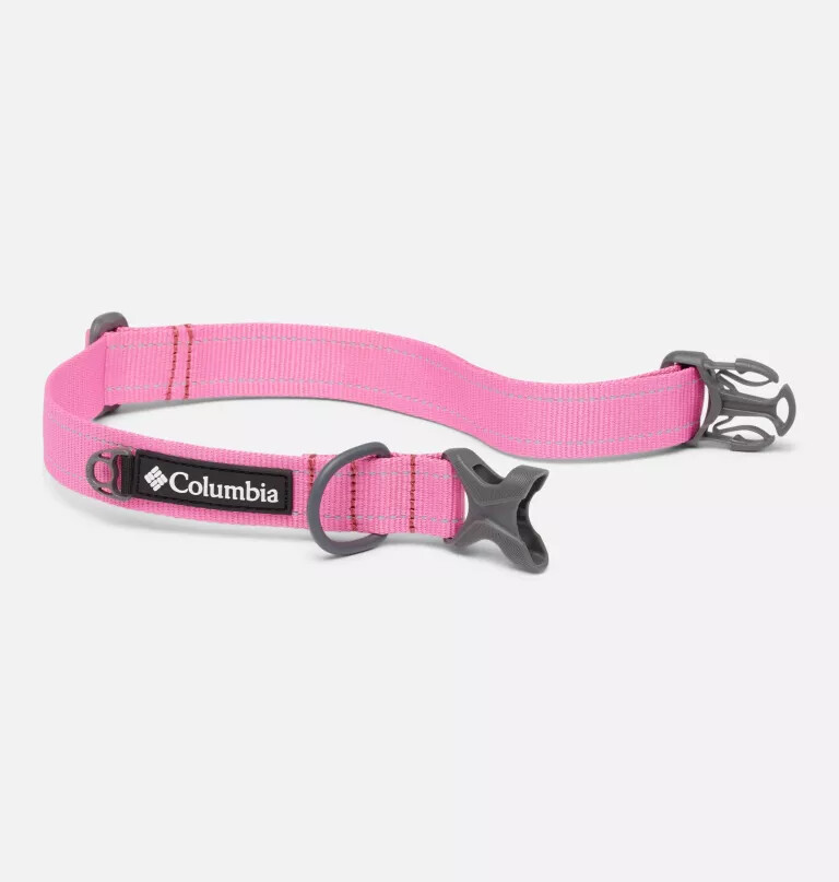 silver ridge hondenhalsband