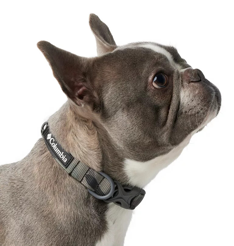 silver ridge hondenhalsband