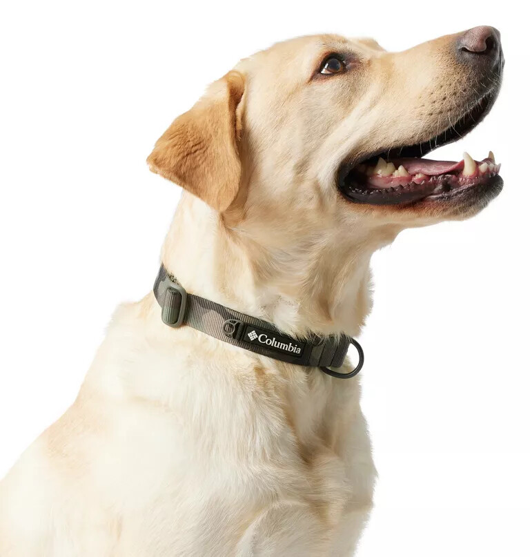 silver ridge hondenhalsband