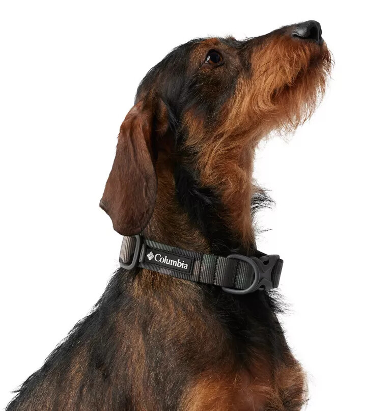 silver ridge hondenhalsband